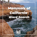 Learn about some common mammals found in California with a fun word search!