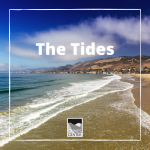 Learn about why we have different tides and learn about the different activities to do during high and low tides.