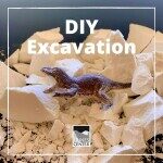 Learn how to make this do-it-yourself excavation kit using two household items with this step by step guide!