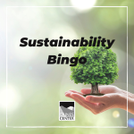 Check out this activity to find a fun way to become more sustainable with our sustainability bingo (P.S. , you can't lose!) 