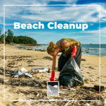 Want to learn how you can help protect marine organisms from plastic entanglement? Check out this activity! 