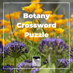 Test your knowledge with this fun botany themed crossword puzzle! 