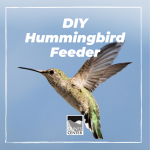 Check out the worksheet in our bio to learn more about hummingbirds and how you can make your very own hummingbird feeder using common household objects! 