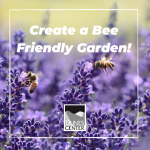 Add some color to your garden and create a friendly attractive garden for the bees!