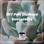 Make your own felt succulent!