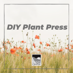 Learn how to create your own plant press! Learn to identify plants in your own backyard and create beautiful art.