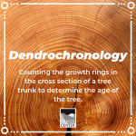Learn about how scientists use tree rings to age trees