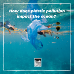 Did you know that 28 billion pounds of plastic ends up in our ocean every year?! Learn more about plastic pollution with this activity!