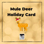 Learn about Mule Deer and make your own holiday card for friends and family with this activity! 
