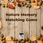 Train your brain with this fun nature memory matching game