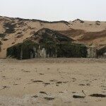 Sand Dune Atop Marine Terrace