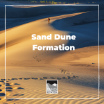 Create your own sand dunes with this activity that demonstrates how wind builds massive sand dunes over time!