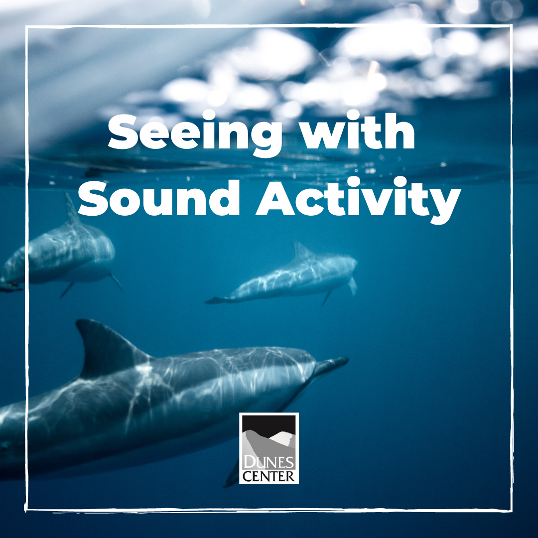 In today's activity, explore why dolphins are considered mammals and experience how they use echolocation to find their food!