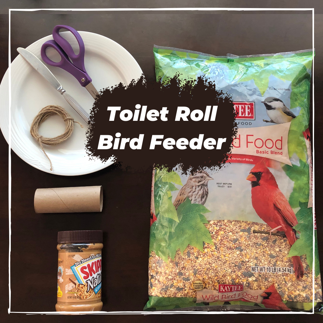 Celebrate the Earth by recycling your toilet rolls and feeding the birds! 