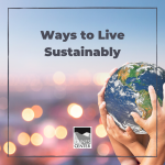 Do you know the different ways you can live sustainably? Make a poster with this activity to help your family remember the simple things they can do to live a more sustainable lifestyle.