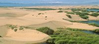 guad-nipomo-dunes