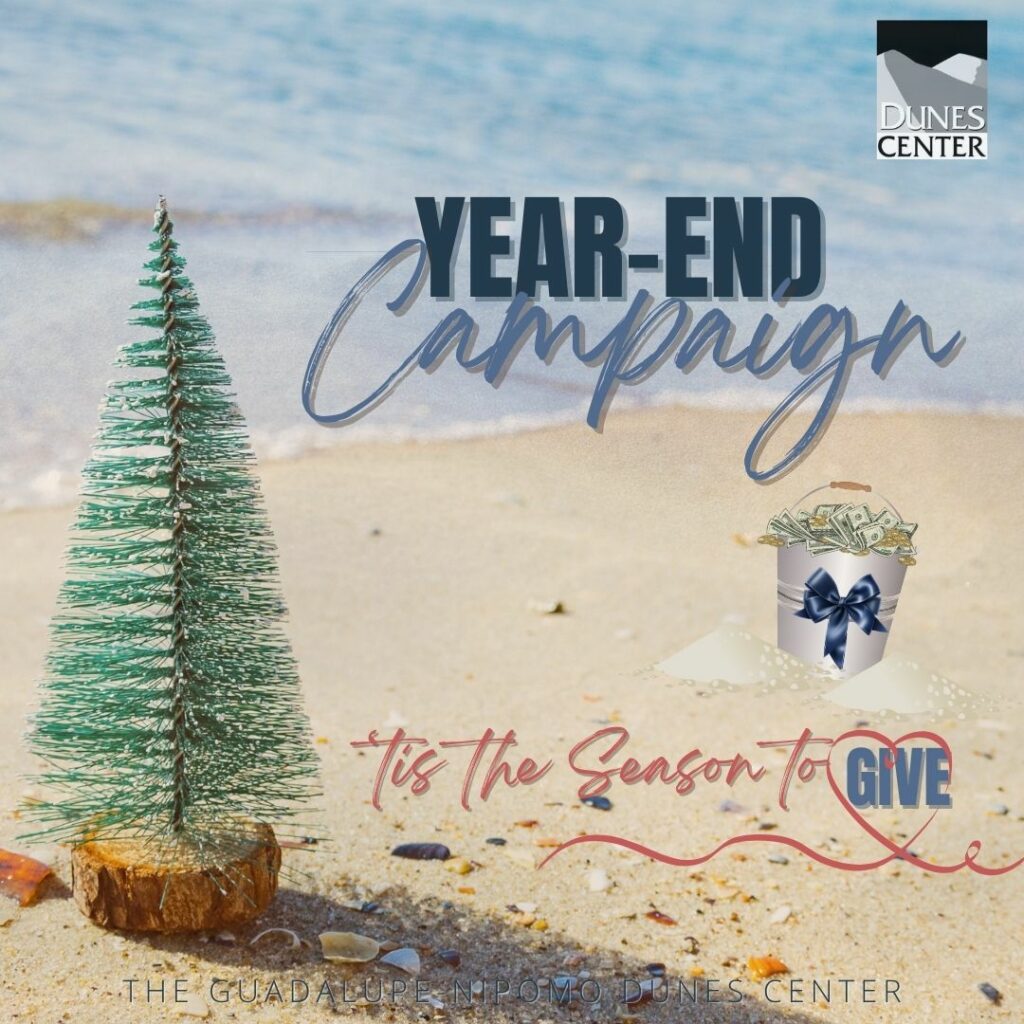 Year-End Giving Campaign